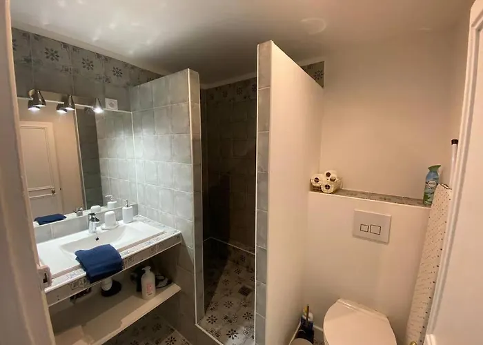 Coeur De Notre Dame - 3 Pieces Apartment Versailles